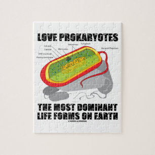 Love Prokaryotes most Dominant Life Forms on Earth Legpuzzel