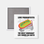 Love Prokaryotes most Dominant Life Forms on Earth Magneet (Voorkant / Achterkant)