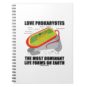 Love Prokaryotes most Dominant Life Forms on Earth Notitieboek