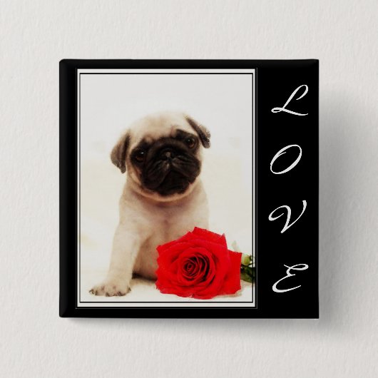 Love Pug puppy button (Voorkant)