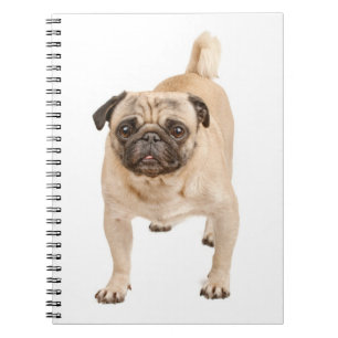 Love Pug Puppy Dog Notebook/Journal Notitieboek