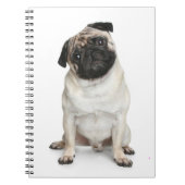 Love Pug Puppy Dog White Notebook/Journal Notitieboek (Voorkant)