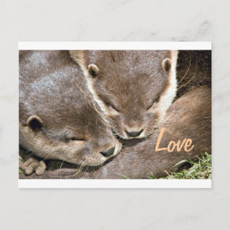 Love Quote - Otters Briefkaart