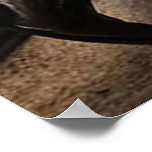 Love Quote voor Husband | Funny Quottes Gift Poster (Hoek)