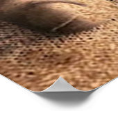 Love Quote voor Wife | Beste en perfecte cadeautje Poster (Hoek)