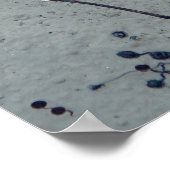 Love Quottes for Him - Typography Poster (Hoek)