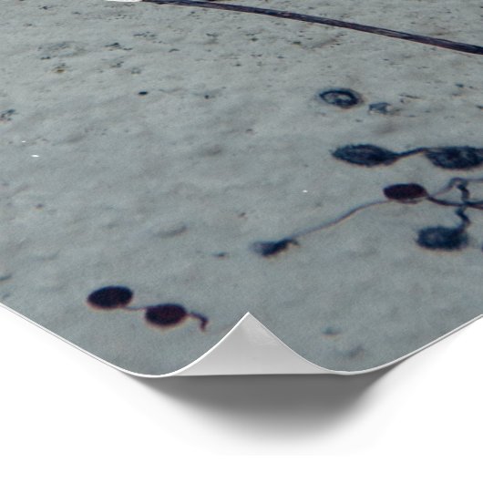 Love Quottes for Him - Typography Poster (Hoek)