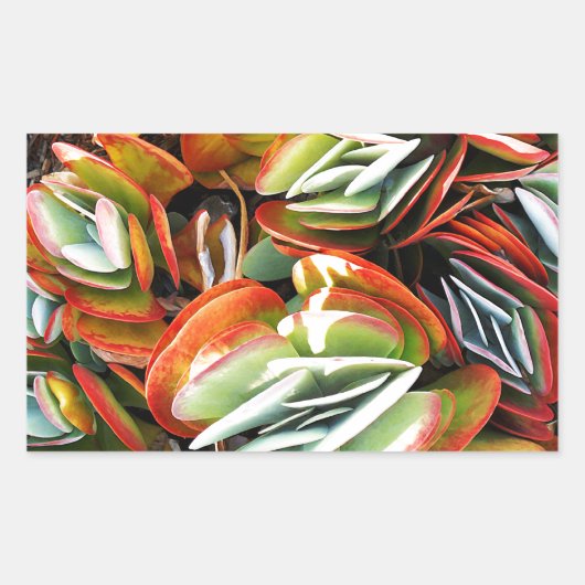 Love_ Rechthoekige Sticker (Voorkant)