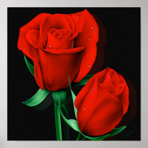 Love Red Rose Black Poster