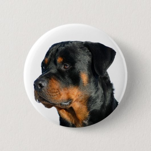 Love Rottweiler Black & Brown Puppy Dog Pin Button (Voorkant)