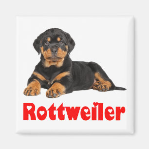 Love Rottweiler Brown & Black Puppy Dog Cartoon Magneet