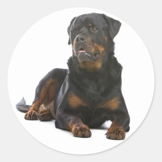 Love Rottweiler Puppy Dog Sticker / Seal (Voorkant)