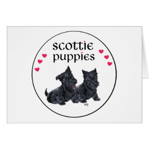 Love Scottie Puppies Valentijn
