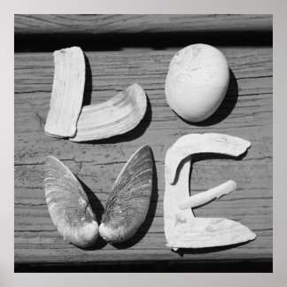 LOVE Shell Black en White Poster