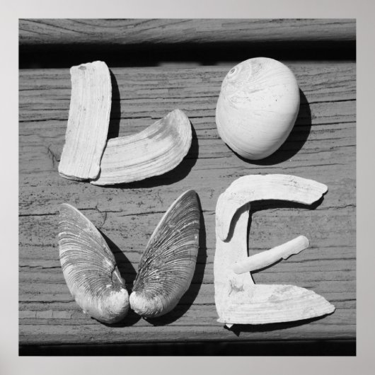 LOVE Shell Black en White Poster (Voorkant)