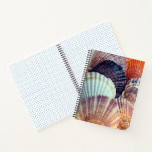 Love Shells Spiral Notitieboek