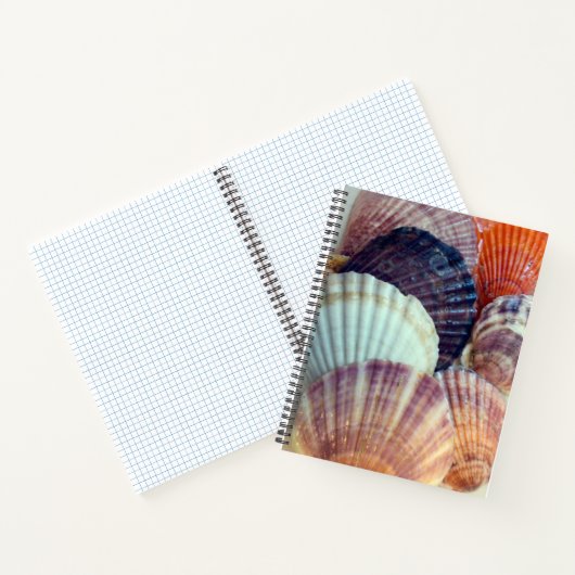 Love Shells Spiral Notitieboek (Binnen)