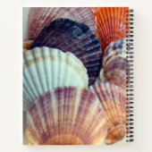 Love Shells Spiral Notitieboek (Achterkant)