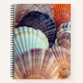 Love Shells Spiral Notitieboek (Voorkant)