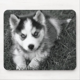 Love Siberian Husky Puppy Dog Mousepad Muismat
