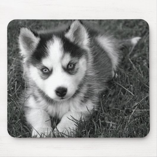 Love Siberian Husky Puppy Dog Mousepad Muismat (Voorkant)