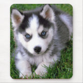 Love Siberian Husky Puppy Dog Mousepad Muismat (Voorkant)