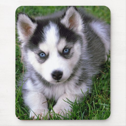 Love Siberian Husky Puppy Dog Mousepad Muismat (Voorkant)