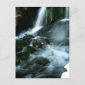 LOVE SONG BRIEFKAART (Voorkant)