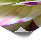 Love Spreading_Poster Poster (Hoek)