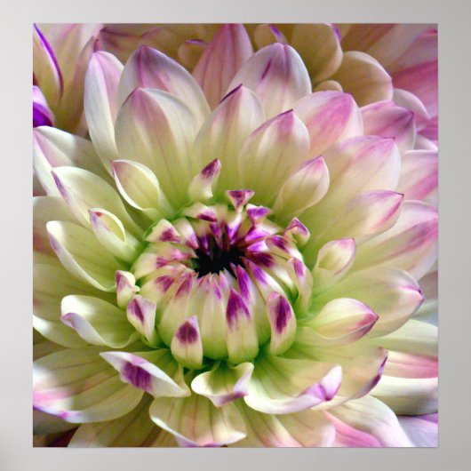 Love Spreading_Poster Poster (Voorkant)