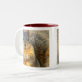 Love Squirrel_ Tweekleurige Koffiemok (Voorkant links)