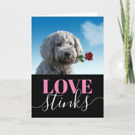 Love Stinks Funny Photo Valentijnsdag Holiday Ca Feestdagen Kaart