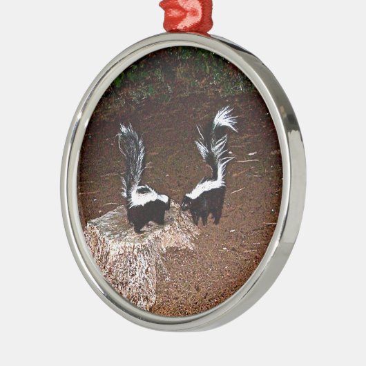 Love Stinks Metalen Ornament (Links)