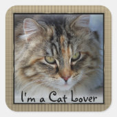 Love Tabby Cat Square Vierkante Sticker (Voorkant)