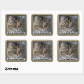 Love Tabby Cat Square Vierkante Sticker (Vel)
