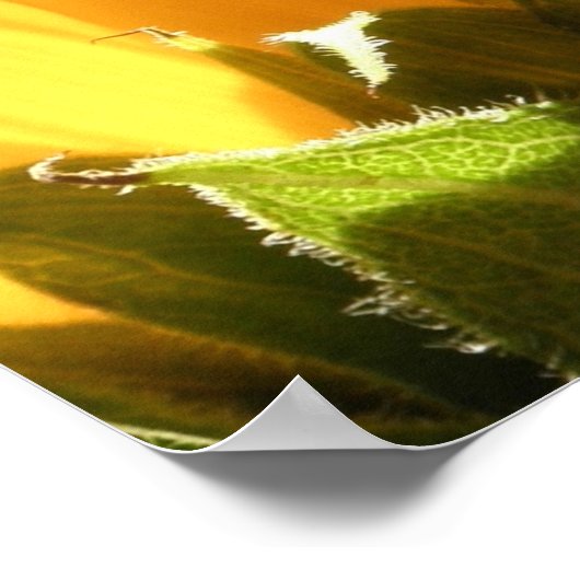 " Love the Future - Free Ai Weiwei" Grote Posters (Hoek)