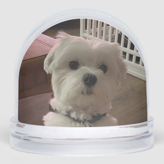 Love them both sneeuwbol (Voorkant)