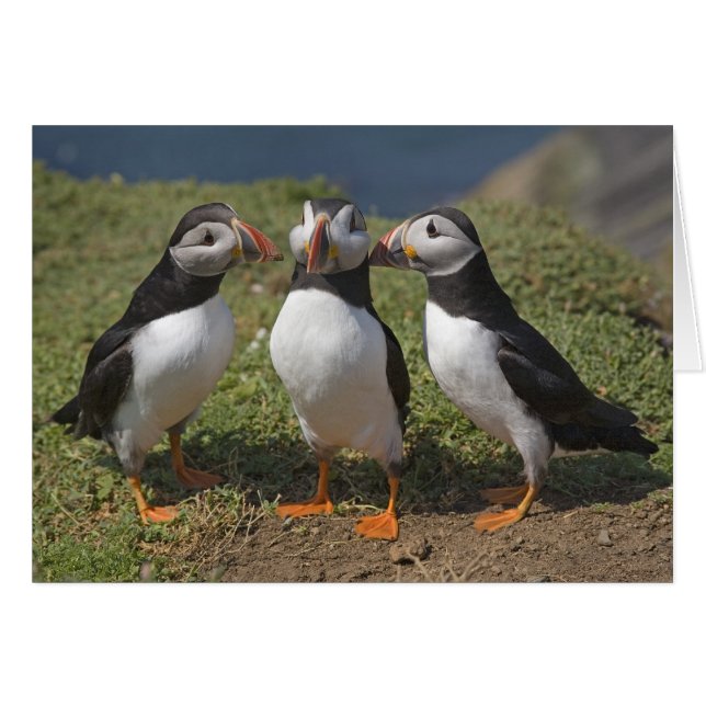 Love Triangle (Voorkant Horizontaal)