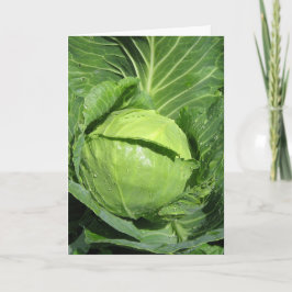 Love Veggies Wenskaart Kaart