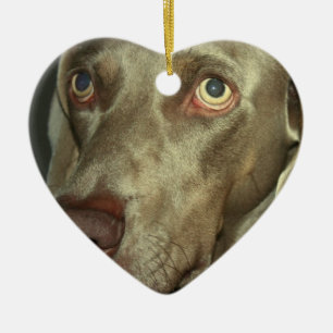Love Weimaraner Ornament