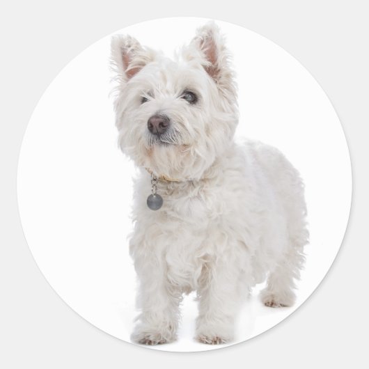 Love West Highland Terrier Puppy Dog Sticker Seal (Voorkant)