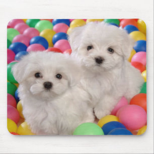 Love White Bichon Frise Puppy Dog Mousepad Muismat