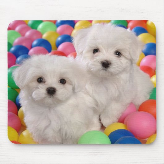 Love White Bichon Frise Puppy Dog Mousepad Muismat (Voorkant)