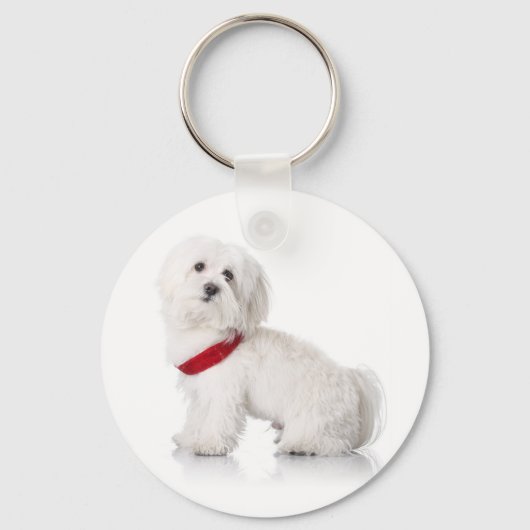 Love White Bichon Frise Puppy Dog Sleutelhanger (Voorkant)