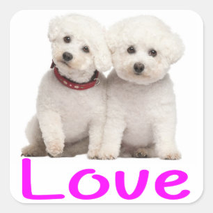 Love White Bichon Frise Puppy Dog Stickers
