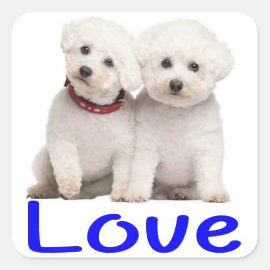 Love White Bichon Frise Puppy Dog Stickers (Voorkant)