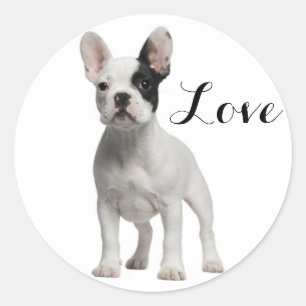 Love White French Bulldog Puppy Dog Black Eye Ronde Sticker