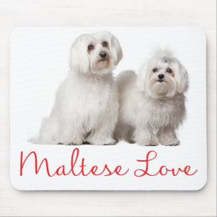 Love White Maltese Puppy Dog Muismat