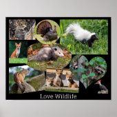 Love Wildlife Cute Animals Poster (Voorkant)