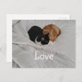 Love with Cat Heart Postcard Feestdagenkaart (Voorkant / Achterkant)